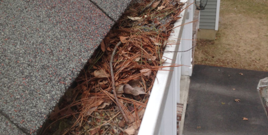 Clogged Gutter